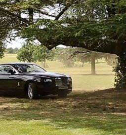 most expensive lawn mower