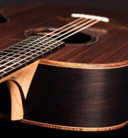 Most expensive woods in the world