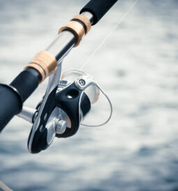 Top 10 Most Expensive Fishing Reels