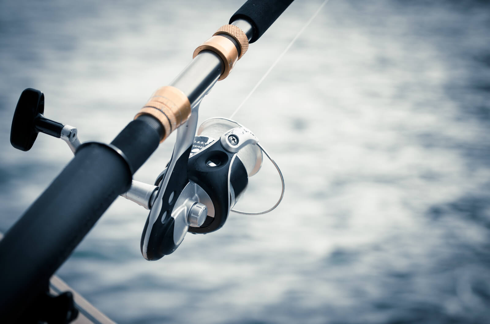 Top 6 Most Expensive Fishing Reels in the World Expensive World