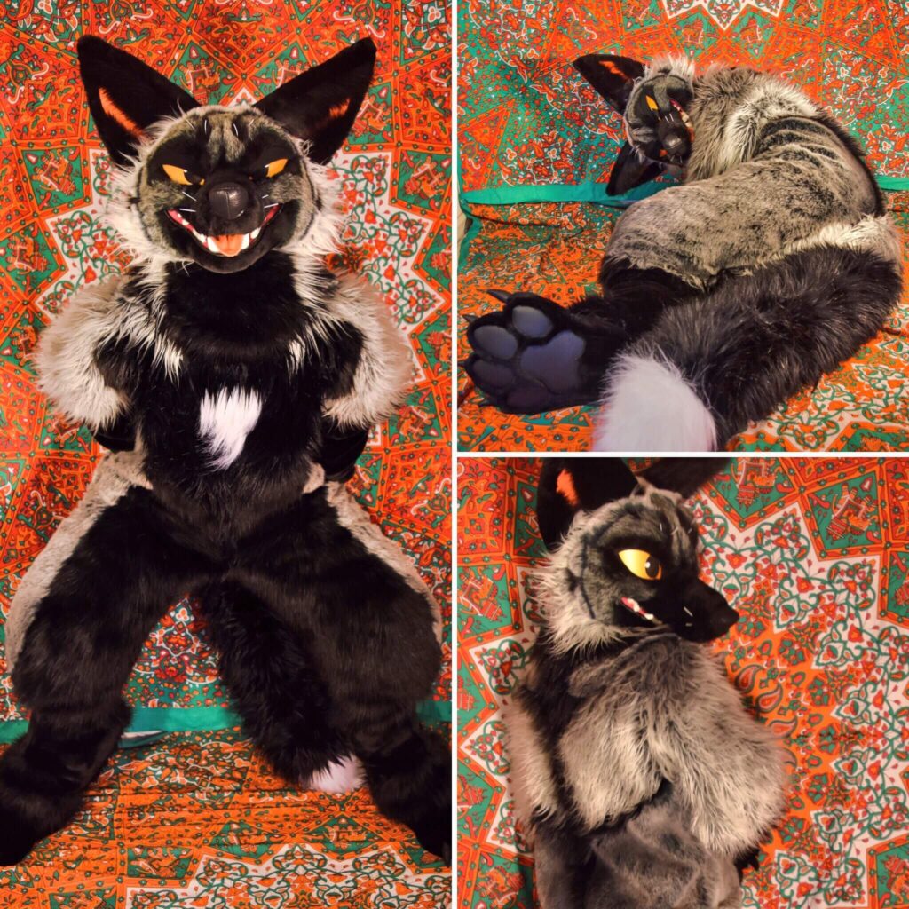 #6 Most Expensive Fursuits in History - Mishka The Silver Fox – Price: $10,100