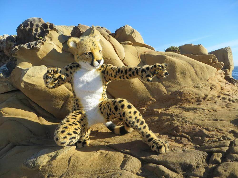 #2 Most expensive fursuit - Primal Visions Cheetah